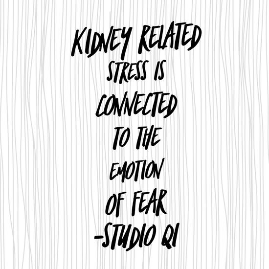 Stress: fear & the kidneys